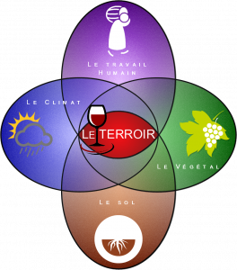 terroir